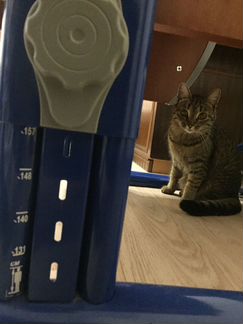 Комплект парта Дэми 75х55 + стул. регулируется под