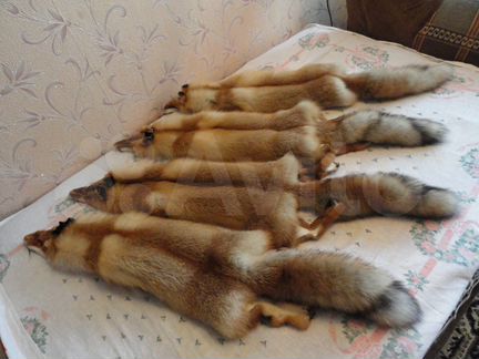 Мех лисы и енота