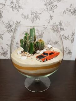 Флорариум