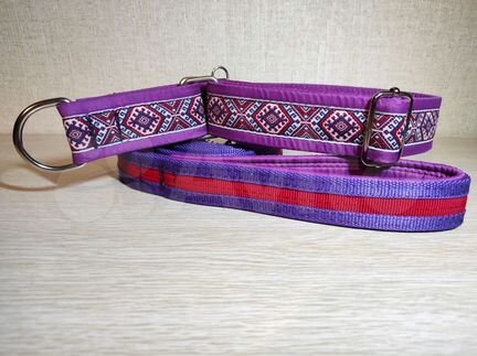 Амуниция для собак (ошейники, шлейки, недоуздки)