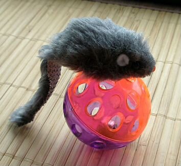 Подарки для кота - пара игрушек