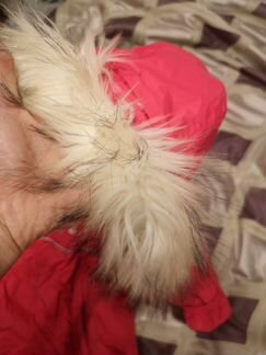 Зимний комбинезон для девочки Ledotte 92