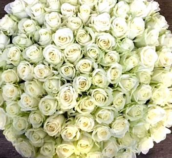 31Роза, 51Роза, 101 Роза, Цветы, Букеты