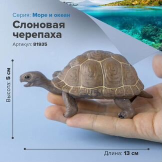 Фигурки животных, черепах- Слоновая, Кожистая